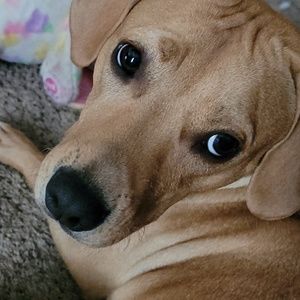 Meet your Posher, Jannah